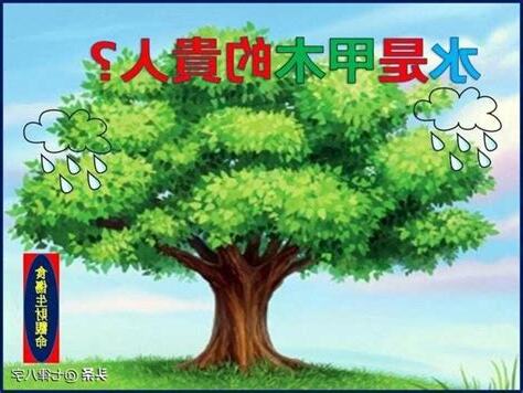 癸水 甲木